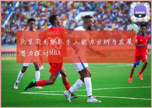 北京羽毛球队个人能力分析与发展潜力探讨MBA