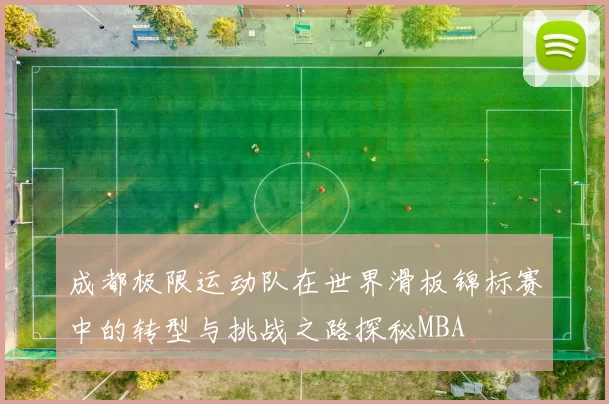 成都极限运动队在世界滑板锦标赛中的转型与挑战之路探秘MBA