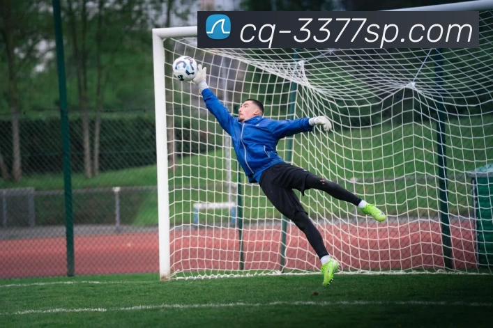 北京乒乓球队快攻革新之路：技术突破与战术演变的深度解析MBA